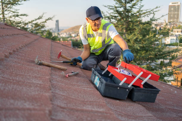 Best Basement Cleanout  in Simi Valley, CA